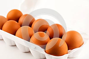 Brown eggs in plastic package on white background