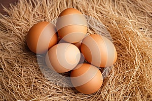 Brown eggs put on a pile of straw