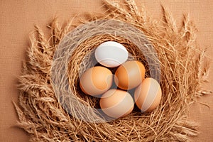 Brown eggs put on a pile of straw