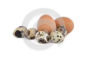 Brown eggs and smaller quail eggs isolated on white