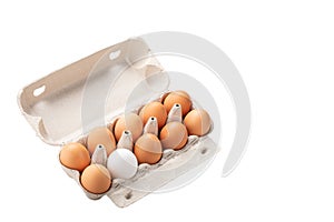 brown eggs and among them one white egg in carton box isolated. Concept of rejection, hostility, exclusion, exile