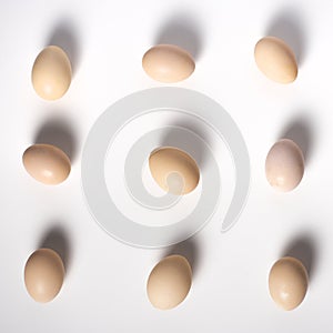 Brown eggs on a white background lined in row