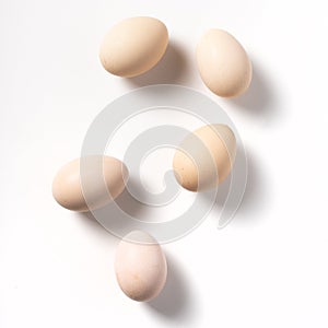 Brown eggs on white background.