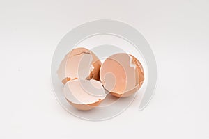 Brown Eggshells on a White Background
