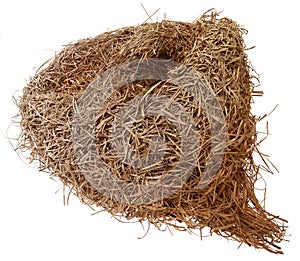 Brown empty birdÃ¢â¬â¢s nest isolated on white background.