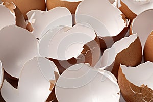 Brown empty egg shells close up full frame