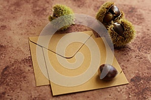 brown envelope and edible chestnuts