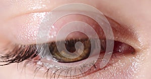 Brown eye blinking closeup. Farsightedness and myopia and vision testing
