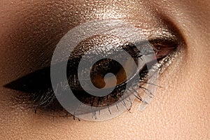 Brown eye makeup. Eyes make-up. Beautiful eyes vintage style make up detail. Eyeliner