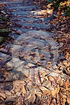 Brown fall leaves on path railroad tie steps