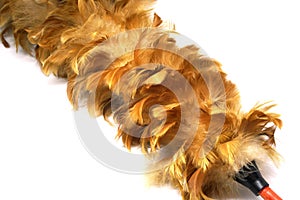 Brown feather duster made from chicken feather isolated white background