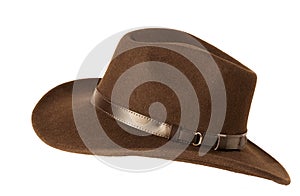 Brown felt hat