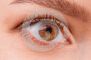 Brown female eye wearing contact lenses