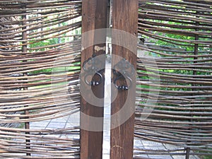 The brown fence of twigs