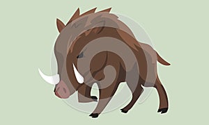 Brown fierce boar art