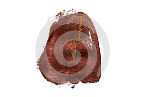 Brown fingerprint texture painted on white isolated background