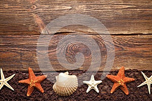 Brown fishing net, starfish and shell on wooden background