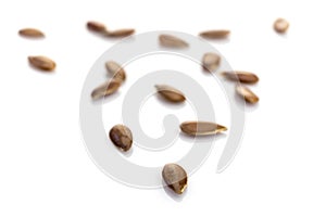 Brown Flax seed background. Pile food Linseed or flaxseed isolated on white. Healthy eating, dieting and detoxication