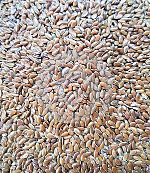 Brown flaxseed - radiola