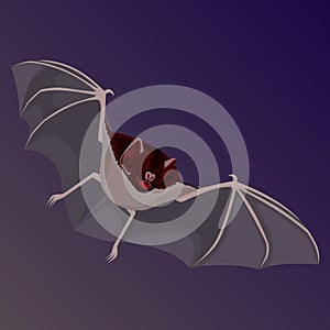 Brown flittermouse with opened wings flat design isolated