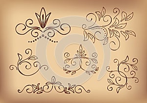 Brown floral design elements - set - vector