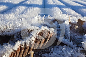 Brown foliage in hoar frost, Fallen withered leaves covered with snow crystals of rime, Close-up detail winter nature