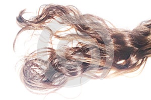 Brown frizzy hair spread on a white background