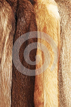brown fur coats