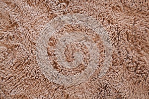 Brown fur texture background. Top view and close up