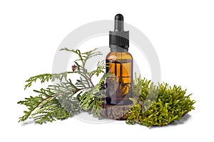 Brown glass bottle of essential oil and leaves of white cedar isolated on white
