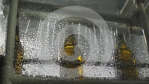 Brown glass bottles pass through the rinsing unit. Bottom view. Shop for the production of mineral water and soft drinks