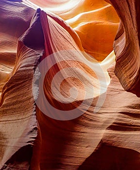 Brown and Gold Colors Lines Textures Edges of Slot Canyon