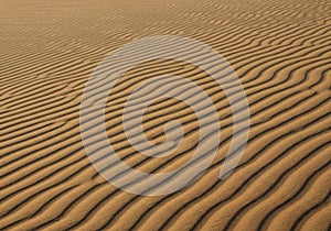 Brown and Gold Sand Dune Texture with Wave Pattern