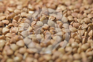 Brown grain buckwheat common, Macro photo, above. Gluten-free pseudocereal