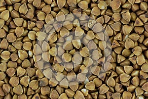 Brown grain buckwheat common, Macro photo, above. Gluten-free pseudocereal