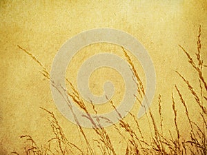 Brown Grass Background