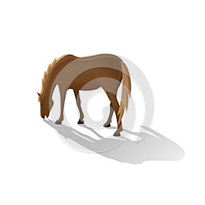 Brown grazing horse isolated image in a flat style. Vector.