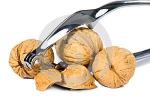 Brown greek nut with nutcracker