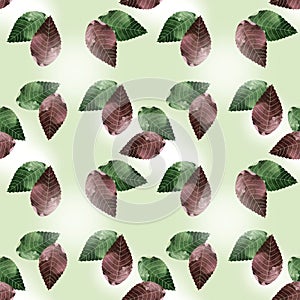 Brown and green leaf