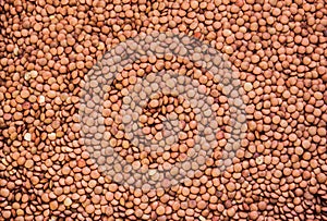 Brown green lentil dry texture