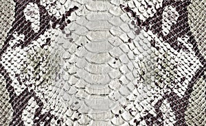 Brown, green and white reptile natural leather texture. Snake python spotted skin pattern