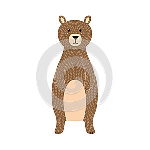 Brown grizzly bear isolated element. Cute forest character