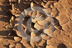 Brown ground texture with cracks