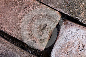 Brown grunge brick are arranged