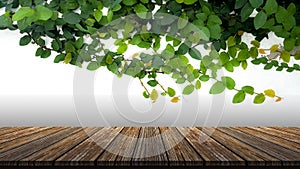 Brown grunge wood table with green leaves for product placement or editing your product or design elements. Wooden board empty