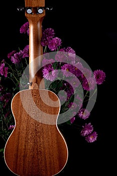Brown guitar ukulele back side magenta flowers