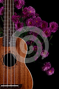 Brown guitar ukulele front side magenta flowers