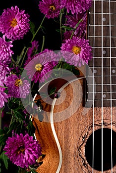 Brown guitar ukulele front view magenta flowers