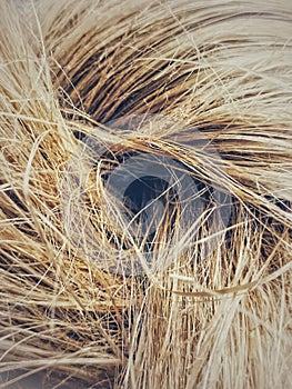 Brown hair texture, abstract close-up background, thick hair