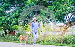 Brown hairy dog and woman are walking in street, cute dog in nature, Owner and dog walking on street